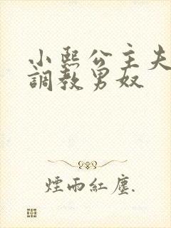 小熙公主夫妻主调教男奴