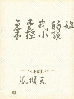 免费我的姐姐很弟控小说