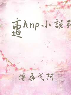 高hnp小说强迫