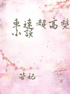 车速超高双男主小说