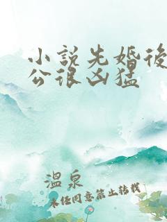 小说先婚后爱老公很凶猛