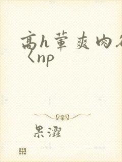高h荤爽肉欲文〈np