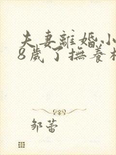 夫妻离婚小孩18岁了抚养权怎么判