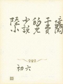 陆少的千亿盛宠小说免费阅读