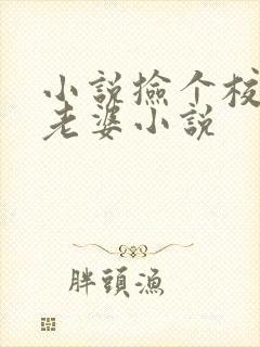 小说捡个校花做老婆小说