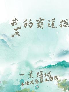 我的霸道总裁男友