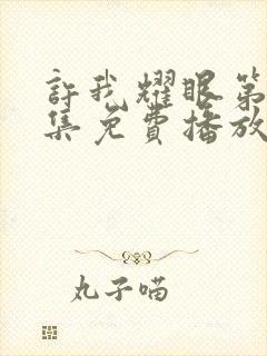 许我耀眼第14集免费播放