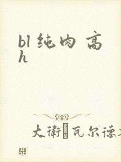 bl 纯肉 高h