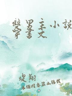 双男主小说推荐穿书文