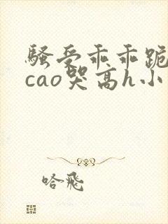 骚受乖乖跪趴被cao哭高h小说