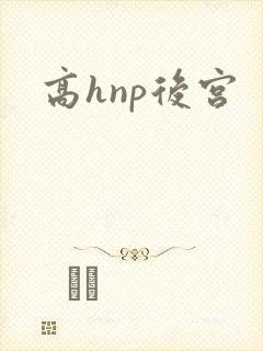 高hnp后宫