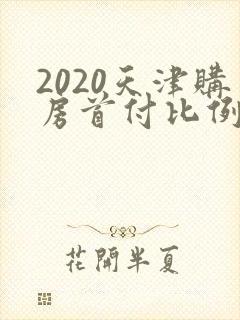 2020天津购房首付比例