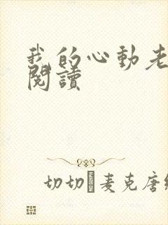 我的心动老板娘阅读