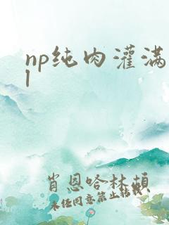 np纯肉灌满bl