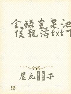 金鳞岂是池中物 侯龙涛txt下载