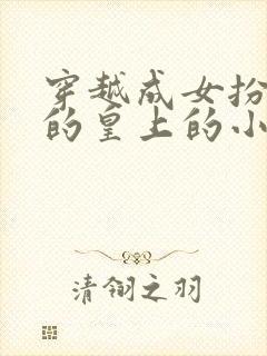 穿越成女扮男装的皇上的小说