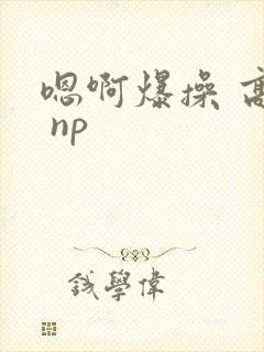 嗯啊爆操 高h np