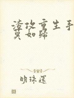 渣攻重生手册 莫如归