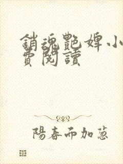 销魂艳婢小说免费阅读