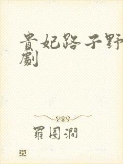 贵妃路子野 短剧