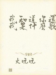 我知道你还爱着我是什么歌曲