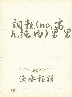 调教(np,高h,纯肉)男男