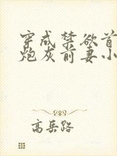 穿成禁欲首辅的炮灰前妻小说