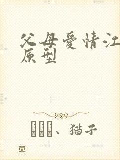 父母爱情江司令原型