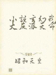 小说玄幻我天命大反派天命反派正版