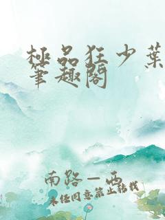 极品狂少叶凡 笔趣阁