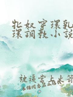 牝奴穿环乳环蒂环调教小说