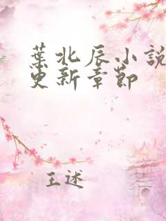 叶北辰小说最新更新章节