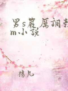 男s严厉调教女m小说