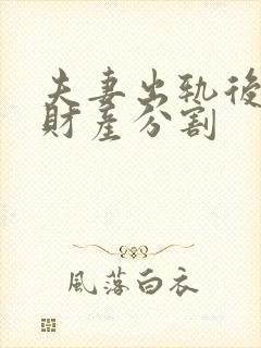 夫妻出轨后离婚财产分割