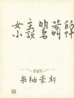 女主明若的穿越小说名叫什么