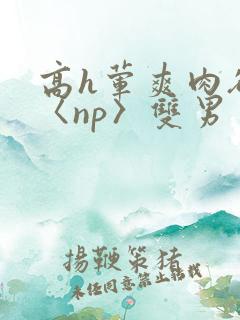 高h荤爽肉欲文〈np〉双男