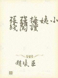 张强梅姨小说在线阅读