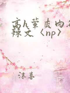 高h荤爽肉欲文辣文〈np〉
