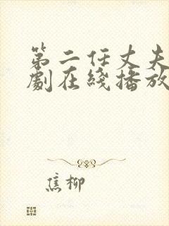 第二任丈夫电视剧在线播放