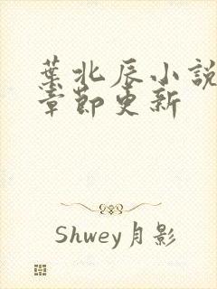 叶北辰小说最新章节更新