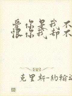 爱你是我不小心恨你我却不忍心是什么歌