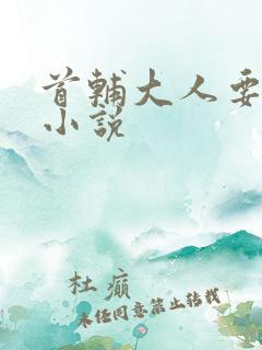 首辅大人要不够小说