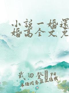 小说一婚还比一婚高全文免费阅读