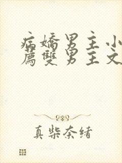 病娇男主小说推荐双男主文