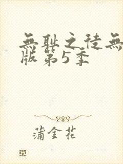 无耻之徒无删减版第5季