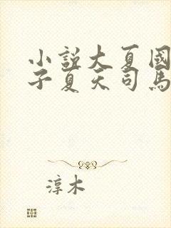 小说大夏国九皇子夏天司马兰