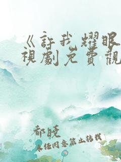 《许我耀眼》电视剧免费观看全集