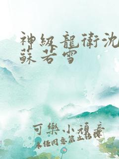 神级龙卫沈浪与苏若雪