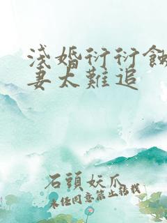 浅婚衍衍蚀骨前妻太难追