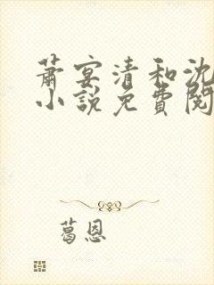 萧宴清和沈蔷薇小说免费阅读